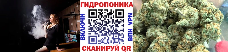 Канабис сатива  цена   Иннополис 