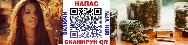 Каннабис ГИДРОПОН Иннополис